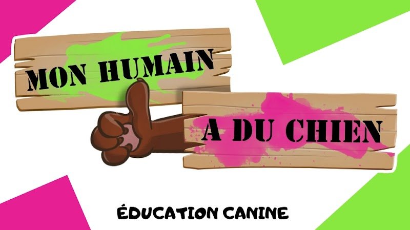 Mon Humain a du Chien - photo 2