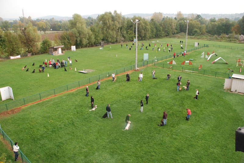 Éducation Sports Canins Macônnais - photo 1