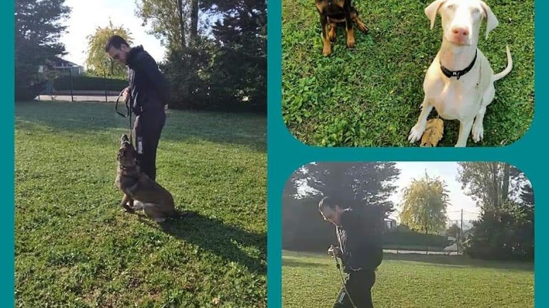 Edu'Canine - photo 1