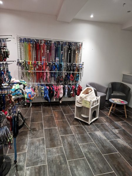 Au Bonheur des Chiens - photo 1