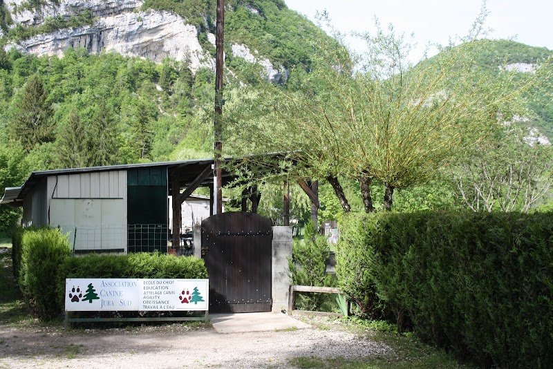 ASSOCIATION CANINE JURA SUD - photo 1