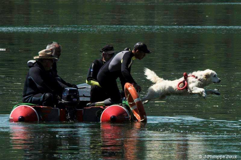 ASSOCIATION CANINE JURA SUD - photo 2