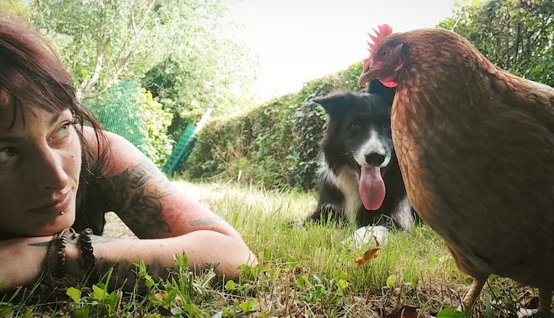 Dog's Family - Éducation et rééducation canine