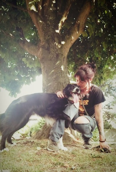 Dog's Family - Éducation et rééducation canine - photo 2