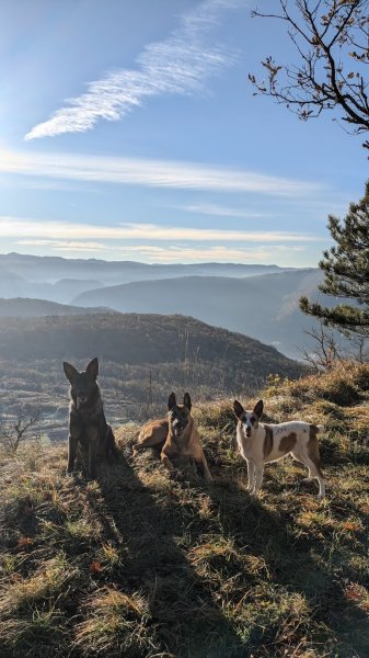 Nicolas Perney Éducateur Canin - Pension - Balade - photo 1