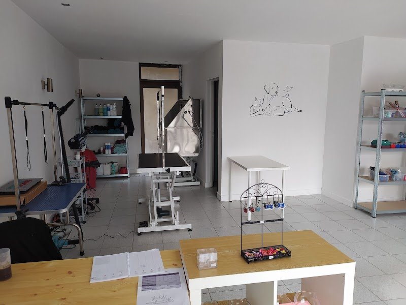 Ad Chien & Cie - photo 1