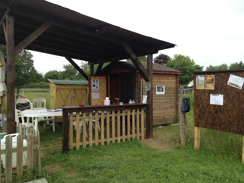 AoA éducation canine et Formation - photo 1