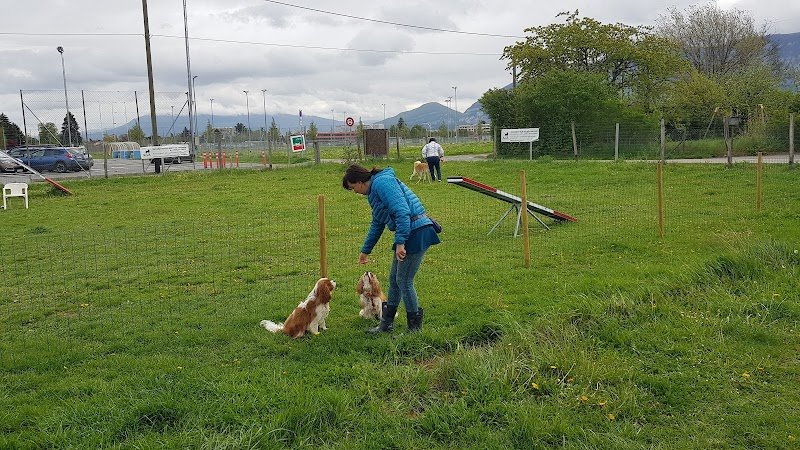 AoA éducation canine et Formation - photo 3