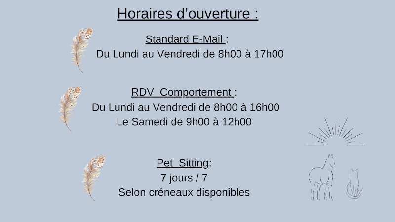 Subtile Entente - Comportementaliste - Pet Sitting - Communication Animale - photo 1