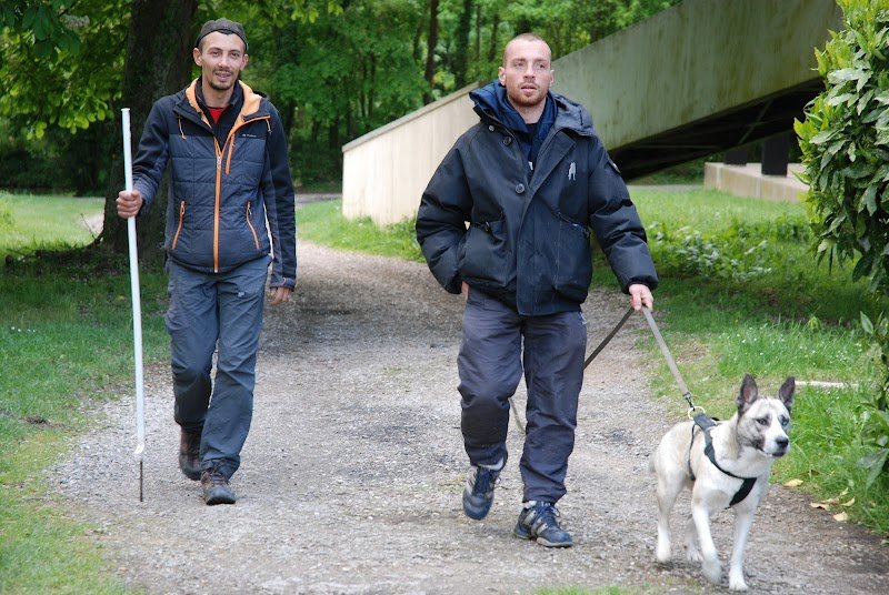 My First Dog Education Canine - Éducateur Canin - Comportementaliste Canin - photo 1