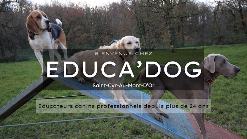 EDUCA DOG LYON - photo 1
