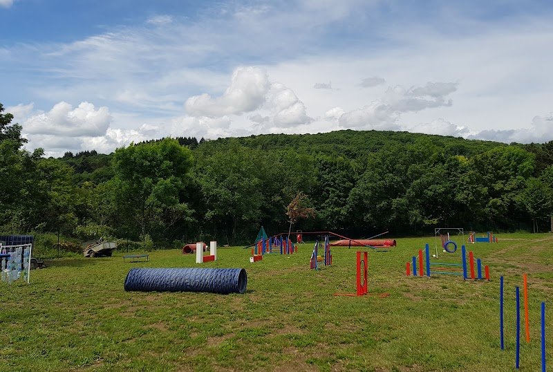 EDUCA DOG LYON - photo 3