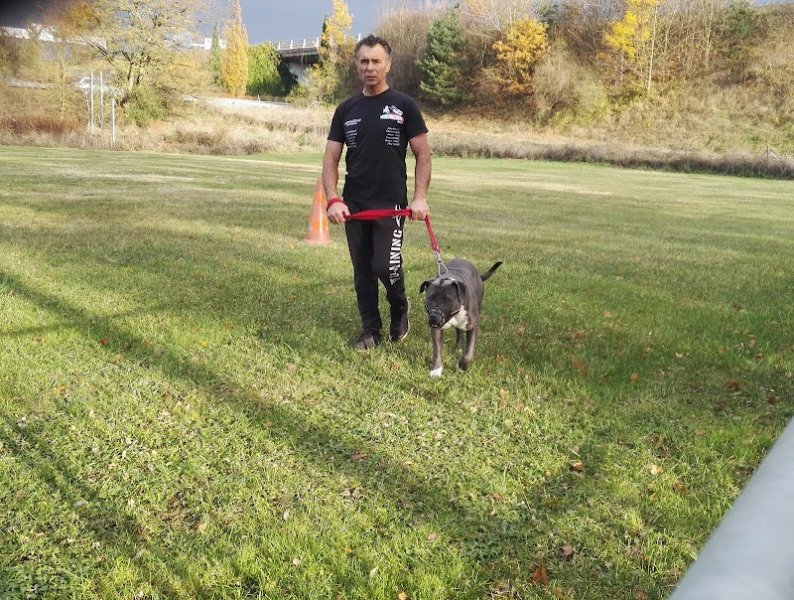 Club Canin - photo 1