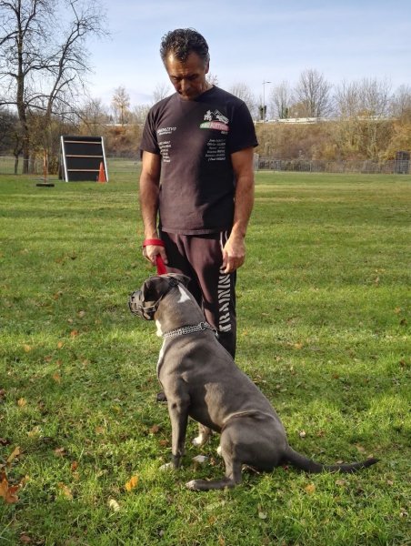 Club Canin - photo 2