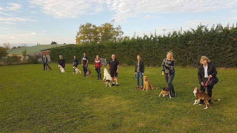 Club d'éducation canine toutes races : Amicale du Berger de Caluire