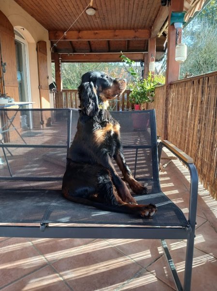 Équilibre Canin Beaujolais - photo 2