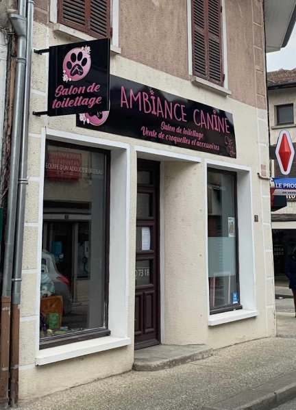 Ambiance canine - photo 1