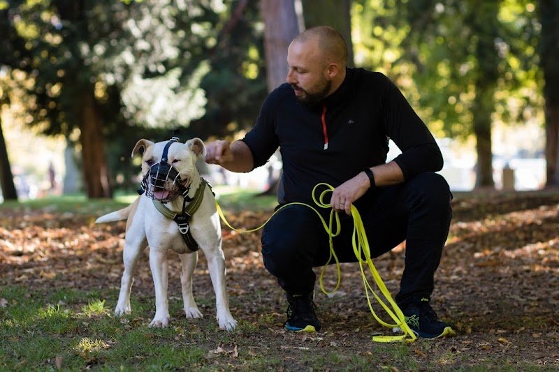 Frangy Educateur Canin - photo 1