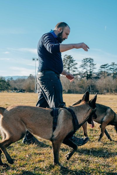 Frangy Educateur Canin - photo 2