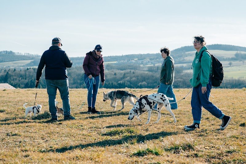 Frangy Educateur Canin - photo 3