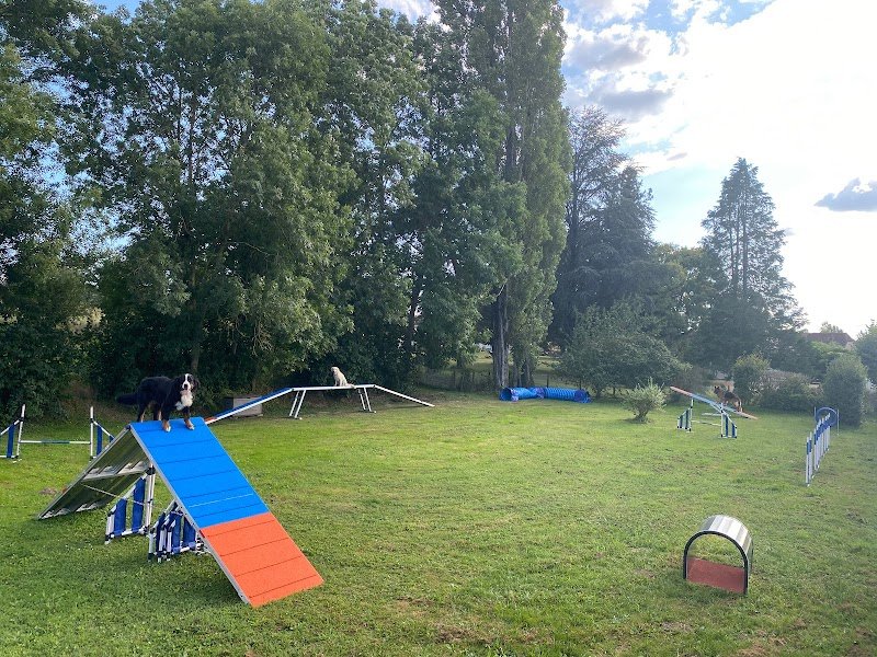 NAT EDUC DOG - photo 1