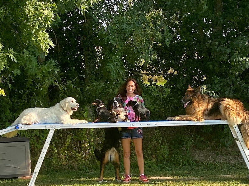 NAT EDUC DOG - photo 2