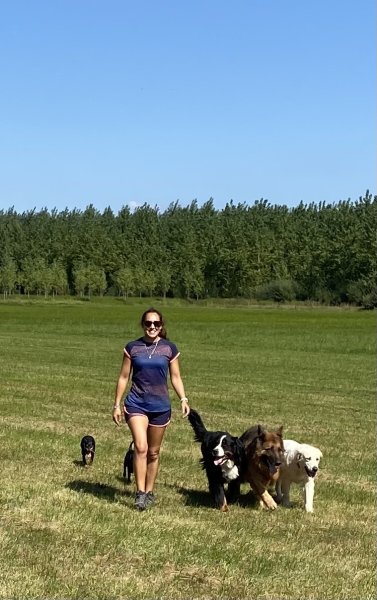 NAT EDUC DOG - photo 3