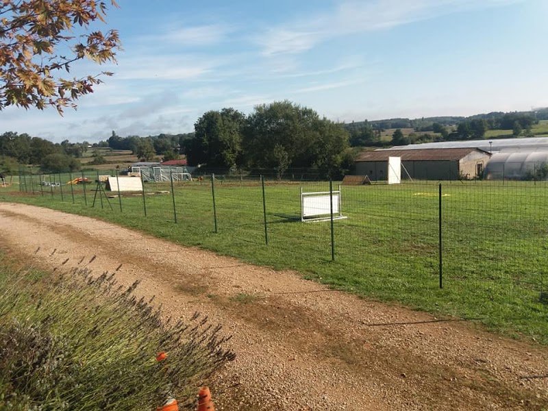 TECHNI-CHIEN CUISERY - photo 2