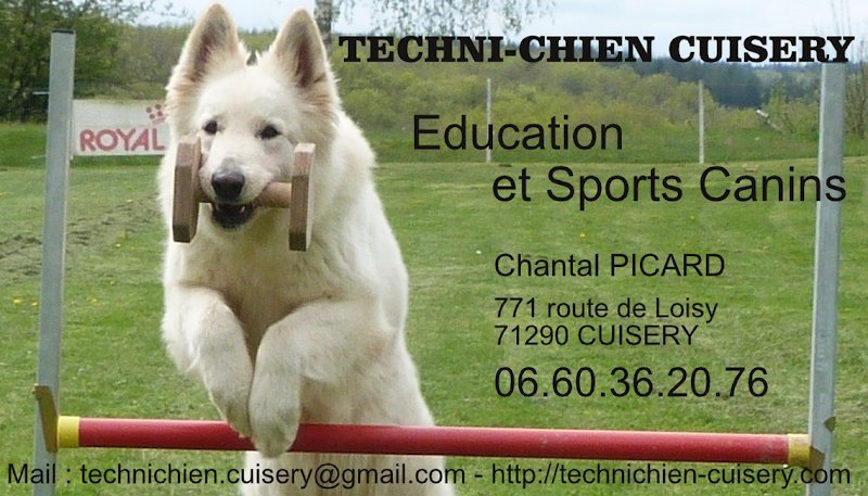 TECHNI-CHIEN CUISERY - photo 3