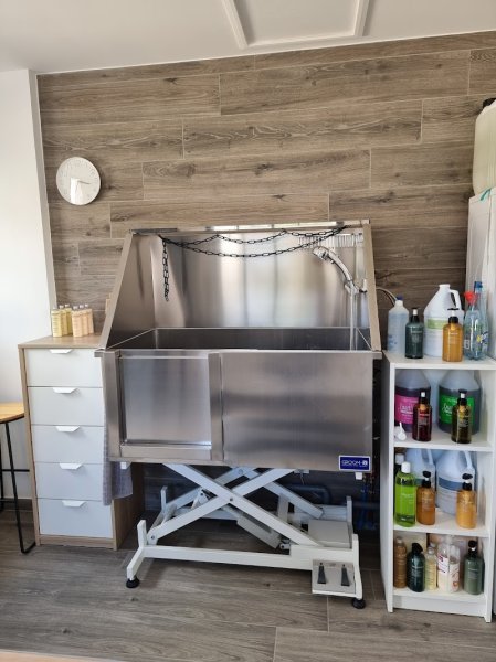 BruMar Dog - photo 1