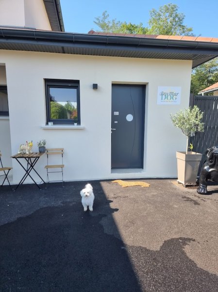 BruMar Dog - photo 2