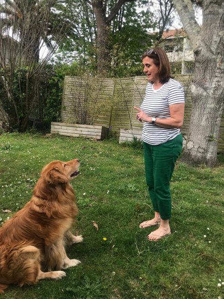 L'Odyssée Canine - éducateur canin - photo 2