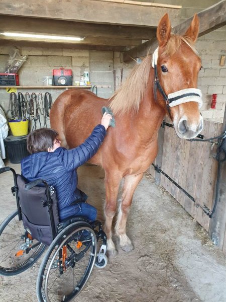 Médiation canine et équithérapie - photo 2