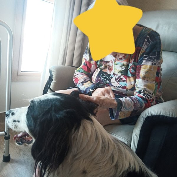 Médiation canine et équithérapie - photo 3