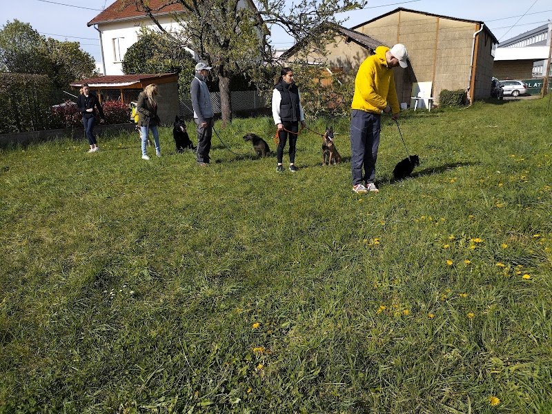 Centre Canin le Brin de Folie d'EASY - photo 1