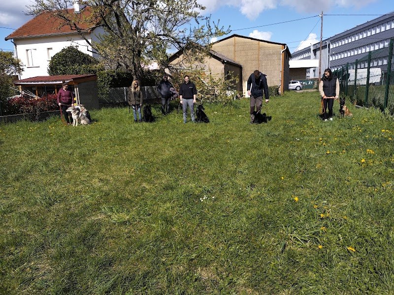 Centre Canin le Brin de Folie d'EASY - photo 2