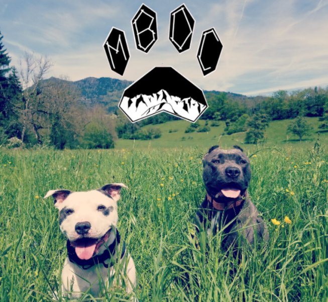 Mont-Blanc Dog Center - photo 1