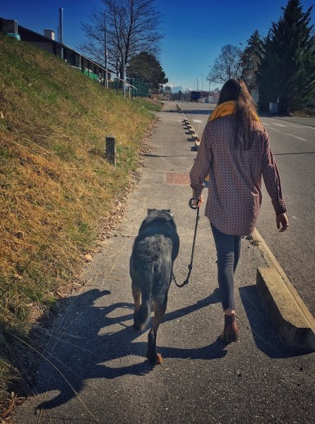 Mont-Blanc Dog Center - photo 2