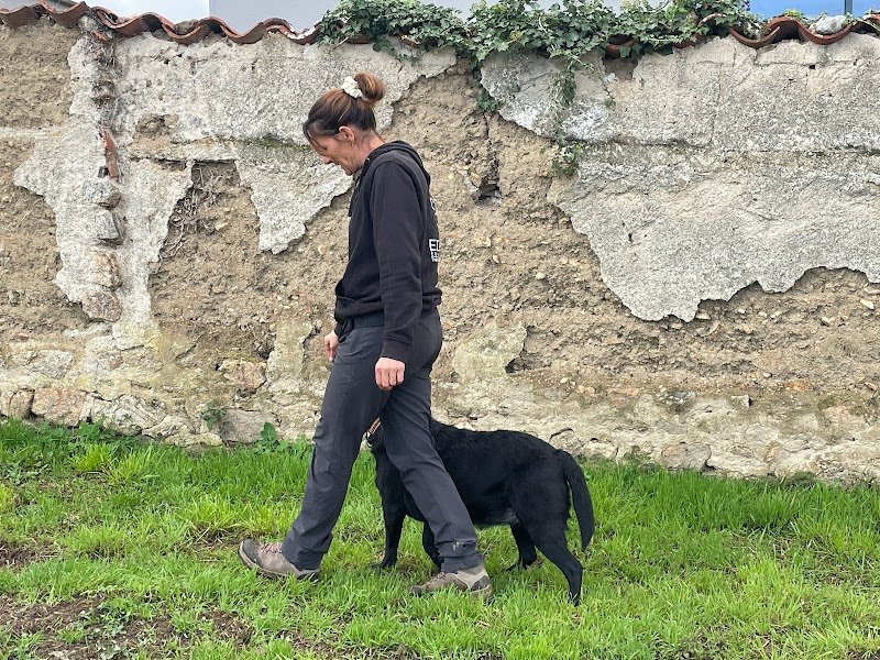 EDU K' NIN - Educateur et comportementaliste canin - photo 3