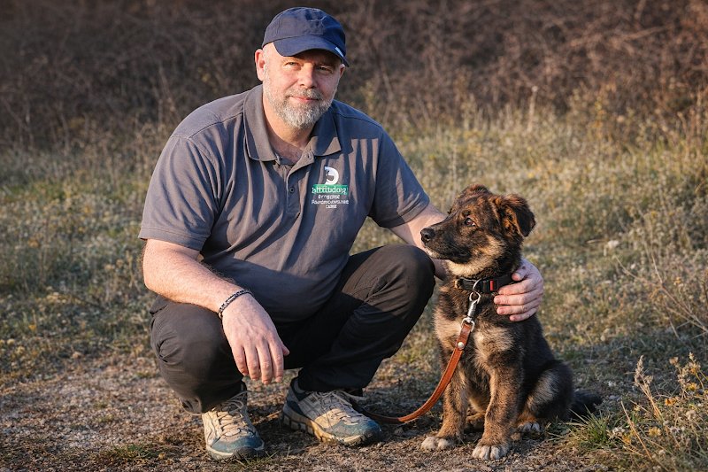 Attitudog – Éducateur canin et comportementaliste , spécialisé en rééducation comportementale pour chiens réactifs… - photo 2