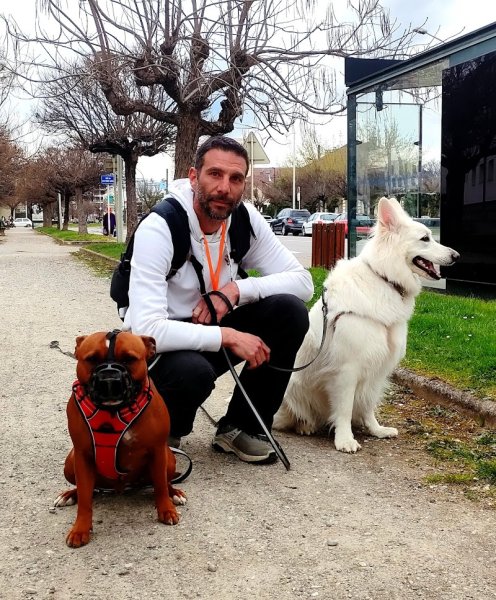 Annecy Education Canine 74 - photo 1