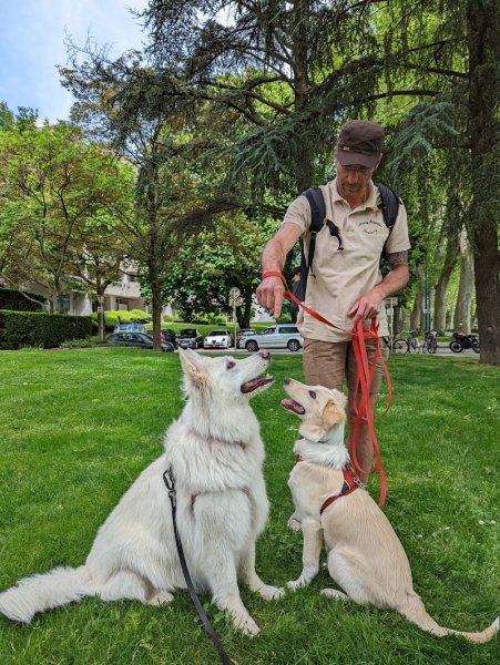 Annecy Education Canine 74 - photo 2