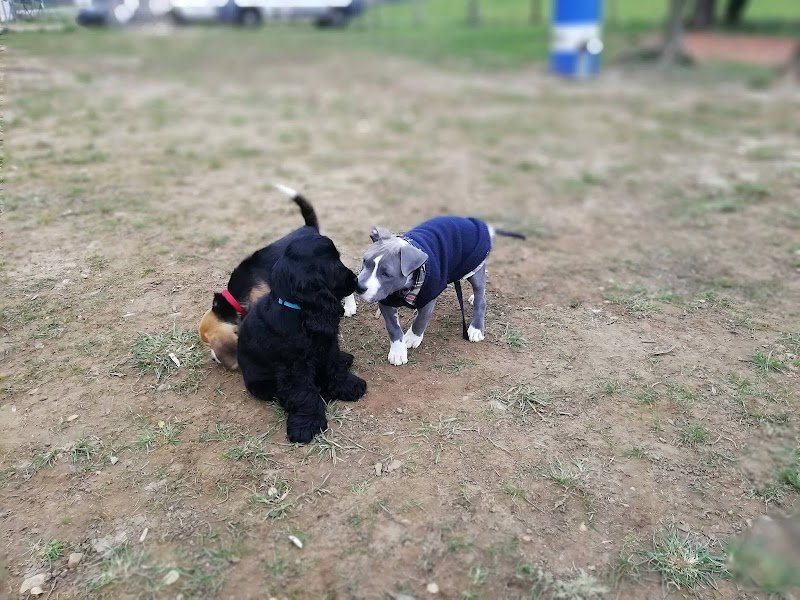 Centre canin La Tribu d'Hatos Education canine - comportement - sport canin - photo 3