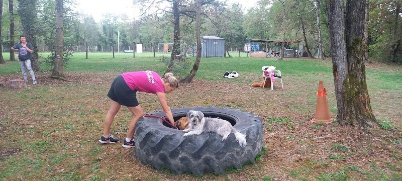 Éducation Canine De Saint Genix/ Guiers - photo 1