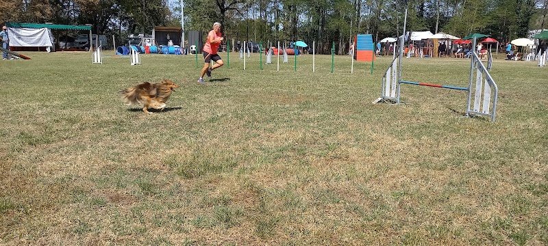Éducation Canine De Saint Genix/ Guiers - photo 2