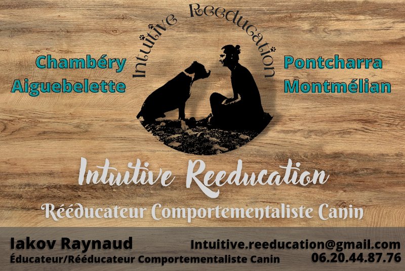 Intuitive Reeducation - Rééducateur et Éducateur comportementaliste canin chambéry et alentours-Méthode "positive/intuitive"