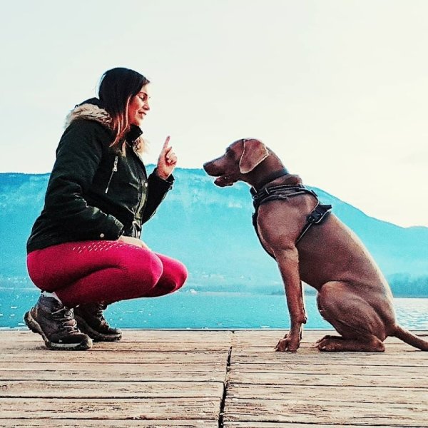 PÔLE CANIN D'EDUCATION RESPECTUEUSE Cynonyx-éducation canine