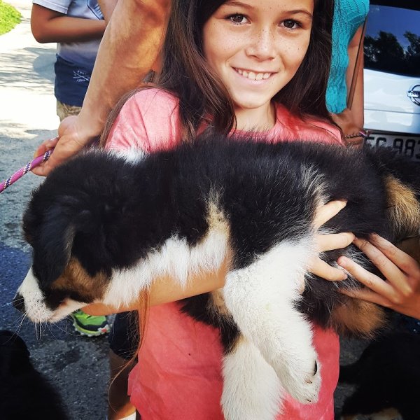 PÔLE CANIN D'EDUCATION RESPECTUEUSE Cynonyx-éducation canine - photo 2