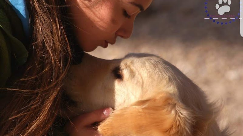 Solyne BECAS Éducateur canin - photo 1