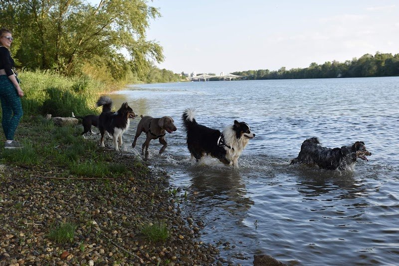 Solyne BECAS Éducateur canin - photo 2